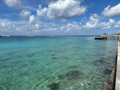 Dirección, horario, teléfono y opiniones de 24/7 Medical Services, Labs & Housecalls Cozumel en Cozumel