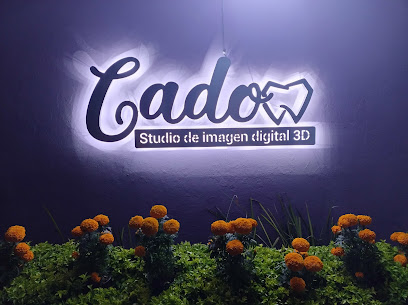 Dirección, horario, teléfono y opiniones de Cado Studio | Imagen Digital 3D en Celaya