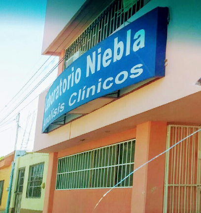 Dirección, horario, teléfono y opiniones de Laboratorio Niebla en Cd. Obregón