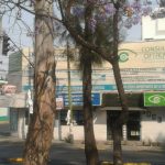 Dirección, horario, teléfono y opiniones de Laboratorio Clínico Diagnóstica Norte en Gustavo A. Madero