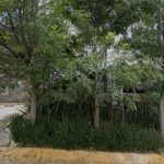 Dirección, horario, teléfono y opiniones de Laboratorios Quetzal en Naucalpan