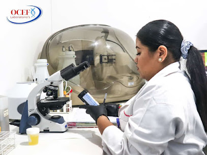 Dirección, horario, teléfono y opiniones de Ocef Laboratorios Sucursal Rosarito en San José del Cabo