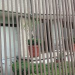 Dirección, horario, teléfono y opiniones de Sgs de México S.A de C.V. en Naucalpan