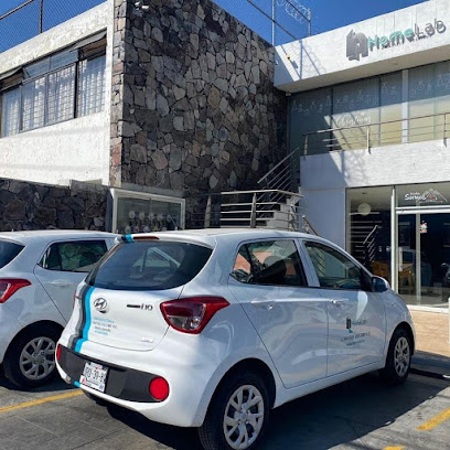 Dirección, horario, teléfono y opiniones de Laboratorio Clínico a Domicilio en Guadalajara Home Lab en Guadalajara