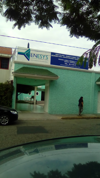 Dirección, horario, teléfono y opiniones de Laboratorio Genesys en Tehuacán
