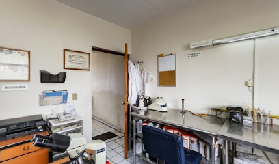 Dirección, horario, teléfono y opiniones de Laboratorio Infectio en Guadalajara