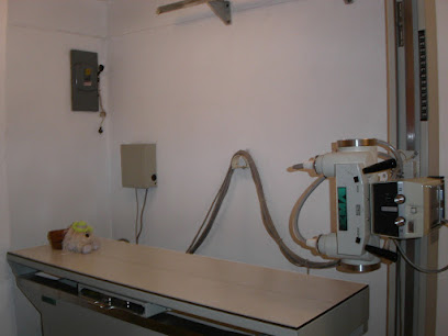 Dirección, horario, teléfono y opiniones de Rayos X del Centro en Pachuca