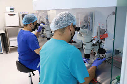 Dirección, horario, teléfono y opiniones de Clínica de Fertilidad Viafert en Culiacán