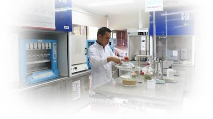 Dirección, horario, teléfono y opiniones de Laboratorio Lezama en Apizaco