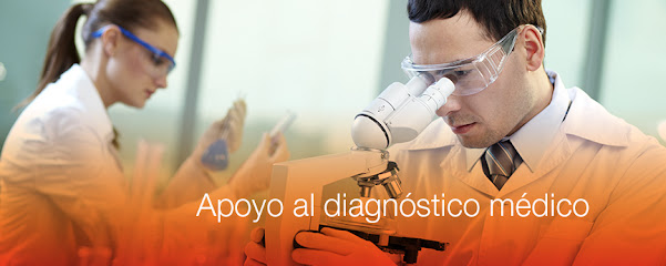 Dirección, horario, teléfono y opiniones de Avam Laboratorio Clinico en Benito Juárez