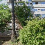 Dirección, horario, teléfono y opiniones de Doctor Martín E. Santos Blanquicet en Tapachula