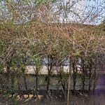 Dirección, horario, teléfono y opiniones de Tapachula Chiapas México en Tapachula