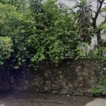 Dirección, horario, teléfono y opiniones de Análisis Clínicos Roma en Cuernavaca